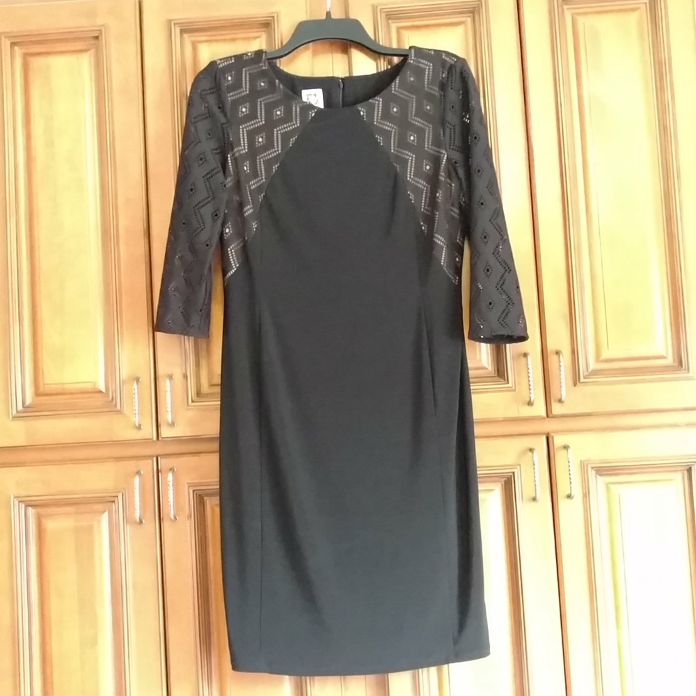 Anne Klein dress size 8P